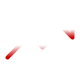 value icon